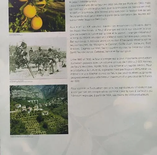 Les Brises De - Les Miradors * 멍똥