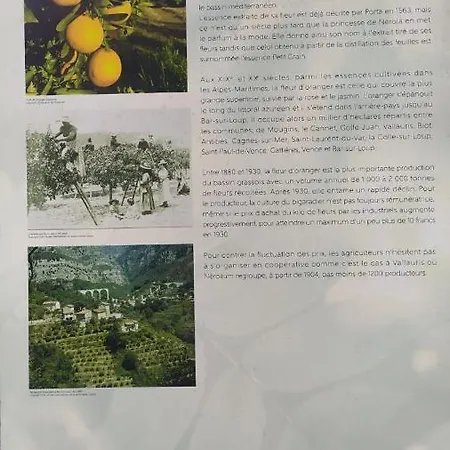Les Brises De - Résidence Les Miradors * Menton