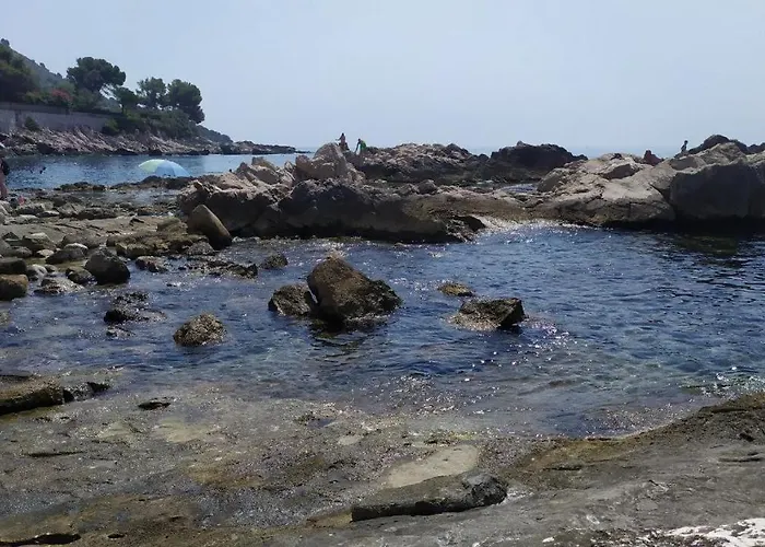 Les Brises De - Les Miradors *